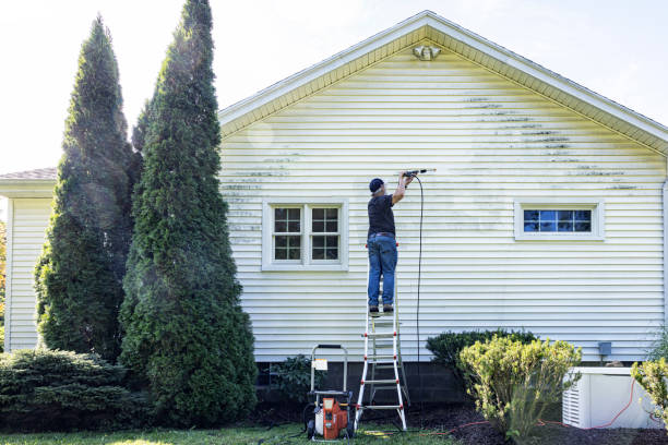 Best Roof Washing  in Bluffton, OH
